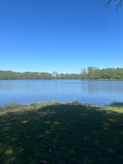 Calm lake surrounded by green trees under clear blue sky