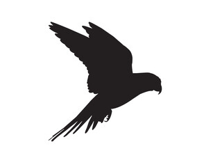 4_Black_Parrot_Bird_Silhouette_Vector [Converted].eps