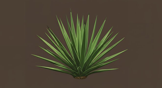 Yucca Plant Icon