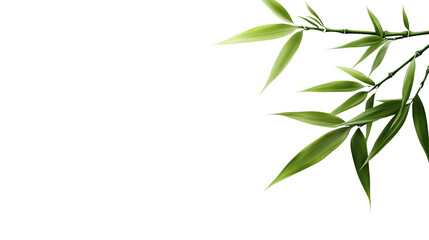 Obraz premium Bamboo stalks with green leaves are positioned in the upper right corner against a isolated background.