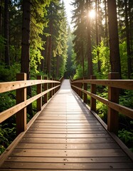 Obraz premium Wooden walkway through forest