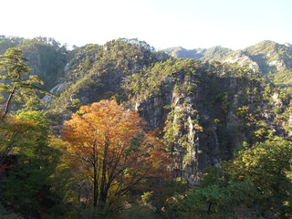 Obraz premium 日本：御岳昇仙峡の登竜岩と紅葉／山梨県・11月