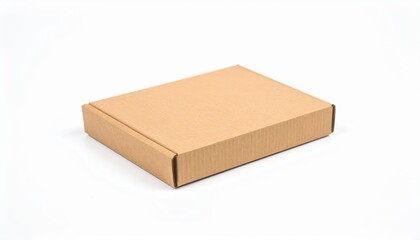 Clean Rectangular Kraft Cardboard Mailer Box Isolated on a Bright White Background.