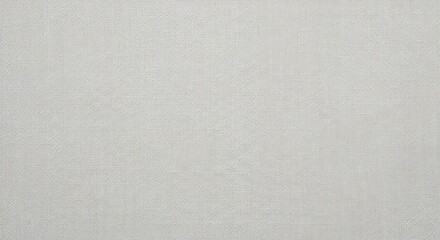 Subtle Gray and White Plaid Pattern Texture Background