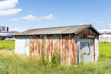 Fototapete bei efototapeten.de bestellen   