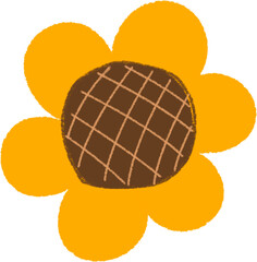 Sketch Style Sunflower, Freehand Line Drawing. Artistic Summer Nature Illustration