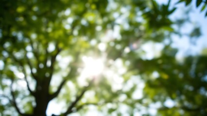 An abstract nature scene with blurred trees and soft sunlight creating a dreamy effect.