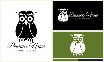 Owl Logo Design Variations. (54)