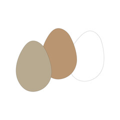 image of three eggs vector illustration of a source of animal protein nutrition which has three main parts, shell, egg white and egg yolk