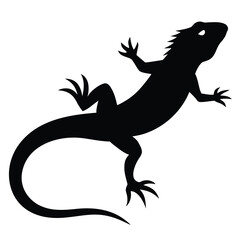 Obraz premium Black lizard silhouette on white background reptile