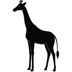 Obraz premium Vector art of giraffe silhouette, a majestic african animal with a long neck, standing tall in the wild, a simple and elegant design