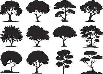 Collection of twelve black tree silhouette vector illustrations, diverse canopy and trunk shapes, isolated botanical elements for landscape design, nature art references