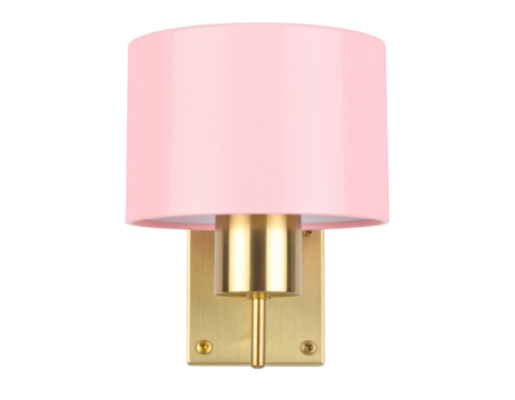 Minimalist Matte Pink Wall Lamp with Subtle Gold Base, Front View, isolated on white