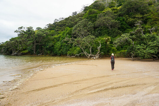 A woman walking around Pataua Scenic Reserve in Whangarei. New Zealand.