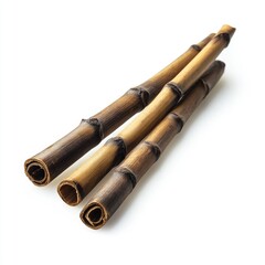 Three light brown bamboo stalks, slightly curved, lie on a white background