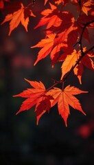 Fiery maple leaves sway gently, stark against deep shadows , nature, dark