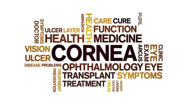 Cornea animated word cloud-text design animation tag kinetic typography seamless loop.