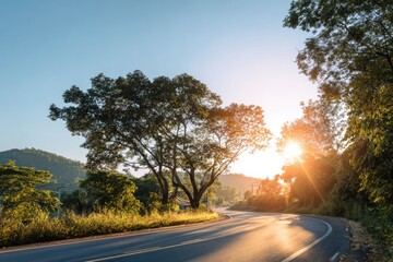 Fototapeta premium Sunny Road Through the Trees