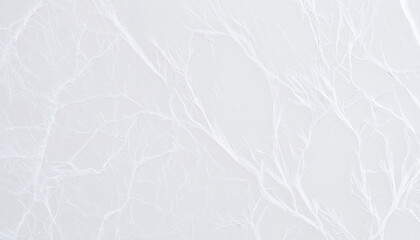 White marble texture