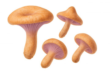Saffron milk cap mushrooms cascading freely, highlighting organic culinary textures against pristine transparent backdrop