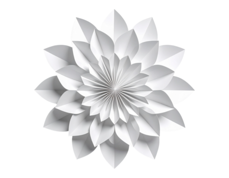 3D decorative paper roses