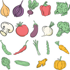Hand Drawn Vegetable Illustration Set, Collection of colorful hand drawn vegetable illustrations including onion, carrot, broccoli, pumpkin, chili, tomato, and more, isolated on white background.