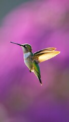 Naklejka premium Vibrant Hummingbird in Flight Against Purple Floral Background