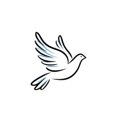 Obraz premium Abstract bird wing illustration