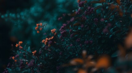 Fototapeta premium Moody Floral Bloom Dark Teal Purple Orange Flowers