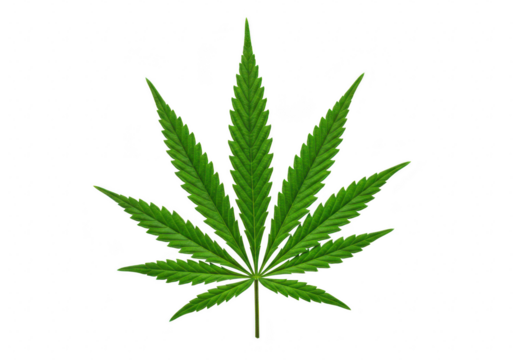 A single green cannabis leaf isolated on a transparent background, representing medical and recreational marijuana - Powered by Adobe