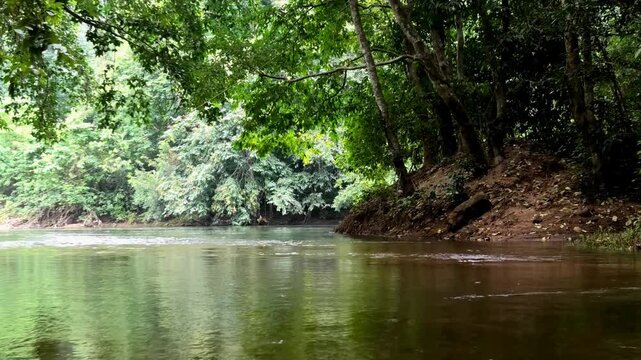 Kallar river seen from the area of Adavi Eco Tourism, Pathanamthitta, Kerala, India