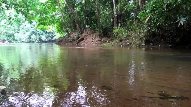Kallar river seen from the area of Adavi Eco Tourism, Pathanamthitta, Kerala, India