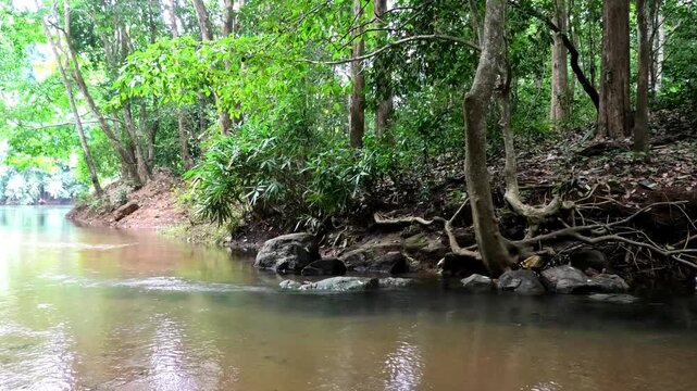 Kallar river seen from the area of Adavi Eco Tourism, Pathanamthitta, Kerala, India
