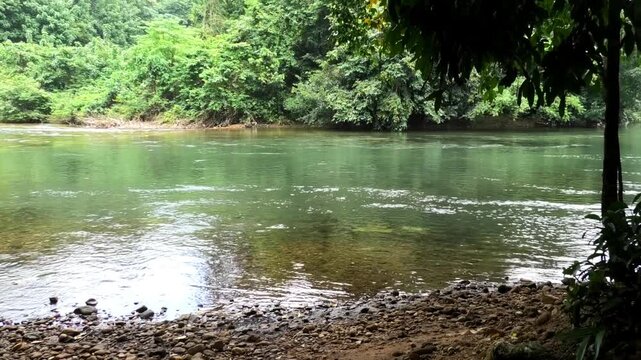 Kallar river seen from the area of Adavi Eco Tourism, Pathanamthitta, Kerala, India