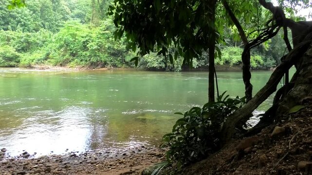 Kallar river seen from the area of Adavi Eco Tourism, Pathanamthitta, Kerala, India