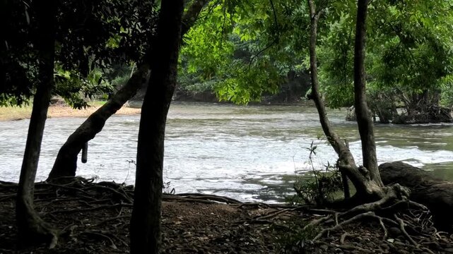 Kallar river seen from the area of Adavi Eco Tourism, Pathanamthitta, Kerala, India