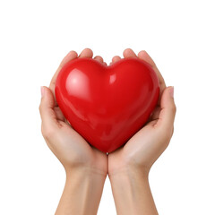female hands holding red heart