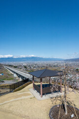 笛吹市八代ふるさと公園の桜