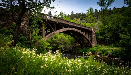 Rustic Arch Bridge over Creek in Mountains