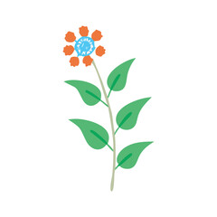 Obraz premium summer-garden-flowe template