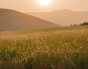 Obraz premium Golden Sunrise Over Rolling Hills and Meadow Peaceful Countryside Landscape