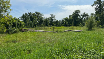 Obraz premium river floodplain in Nebraska