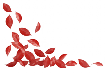 Scattered red autumn leaves forming a decorative border in the corner, isolated on transparent background