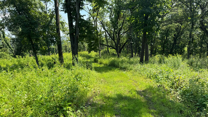 trail through Nebraska wildlife area