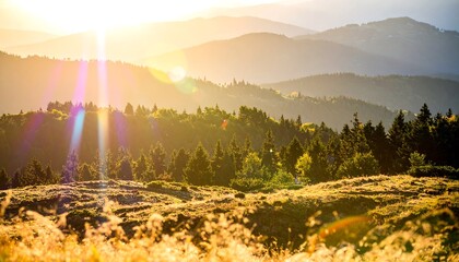 Golden sunset over mountain range
