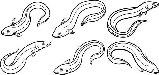 Obraz premium Set of eel fish outline vector illustration line art