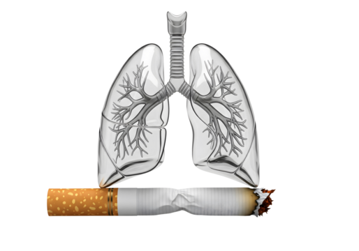 Medical 3D render of a transparent human lung model with a burning cigarette, conceptually representing the severe health risks of smoking and lung cancer