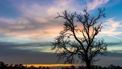 Fototapeta premium Silhouette of a bare tree against a vibrant sunset sky