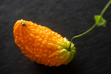熟したゴーヤ　黒背景
