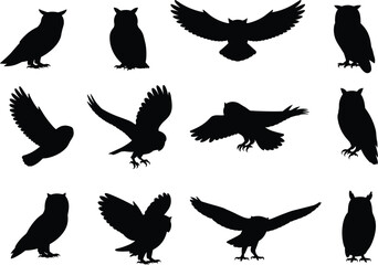 Silhouettes of owls in various poses, flying, perched, hunting, nocturnal birds, wildlife, bird of prey, nature, feathers, flight, mysterious, majestic